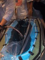 100-0061_IMG